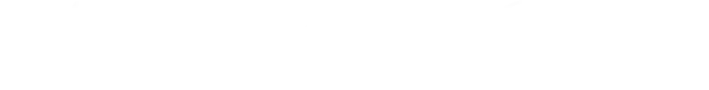 logo negativo